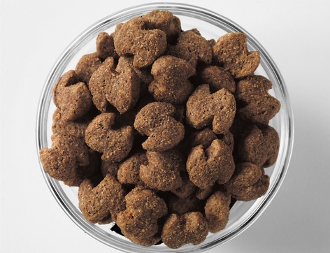 image eukanuba-kibble-bowl-adult-senior-fit-body-largebreed